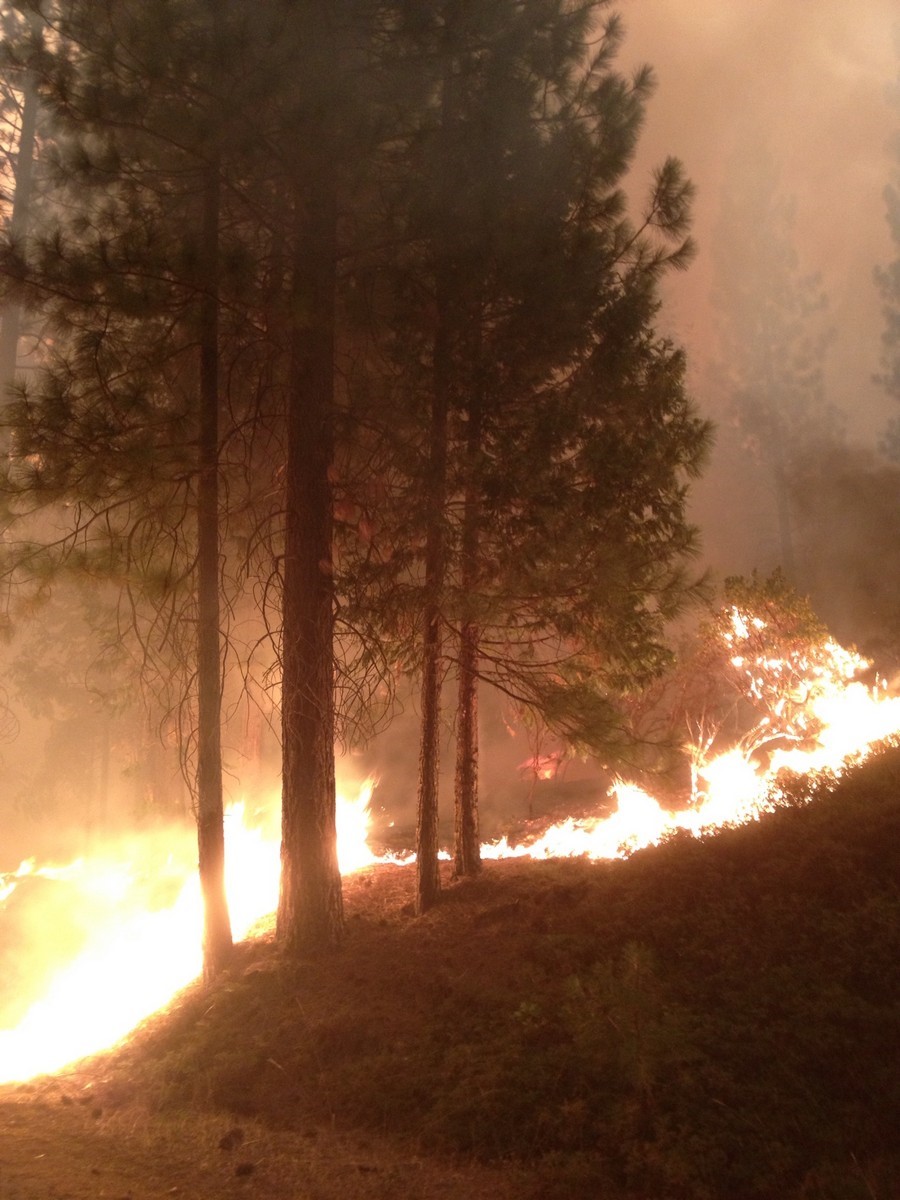 Rim Fire Photo 4